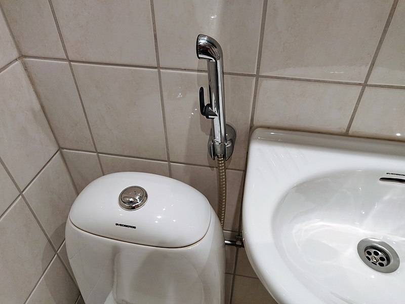 Tabo is a “traditional bidet” primarily used in some of SE Asian