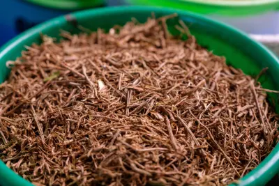 Close up on dried ashwagandha roots used for herbal tea (Camille Delbos/Art In All of Us/Corbis via Getty Images)