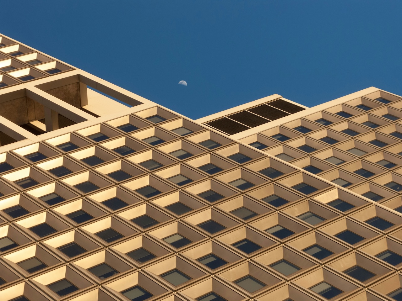 Ripple Roots in the Middle East as Adoption of Crypto-Enabled Cross Border Payments Grows