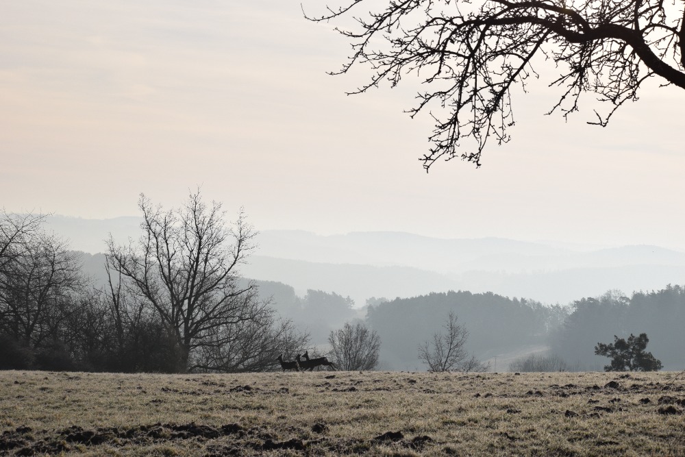Domecek Jalovci vyhled do krajiny