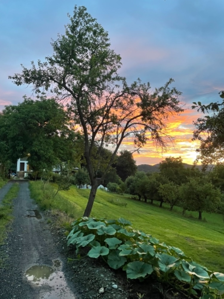 Domecek Jalovci vyhled na zapad slunce