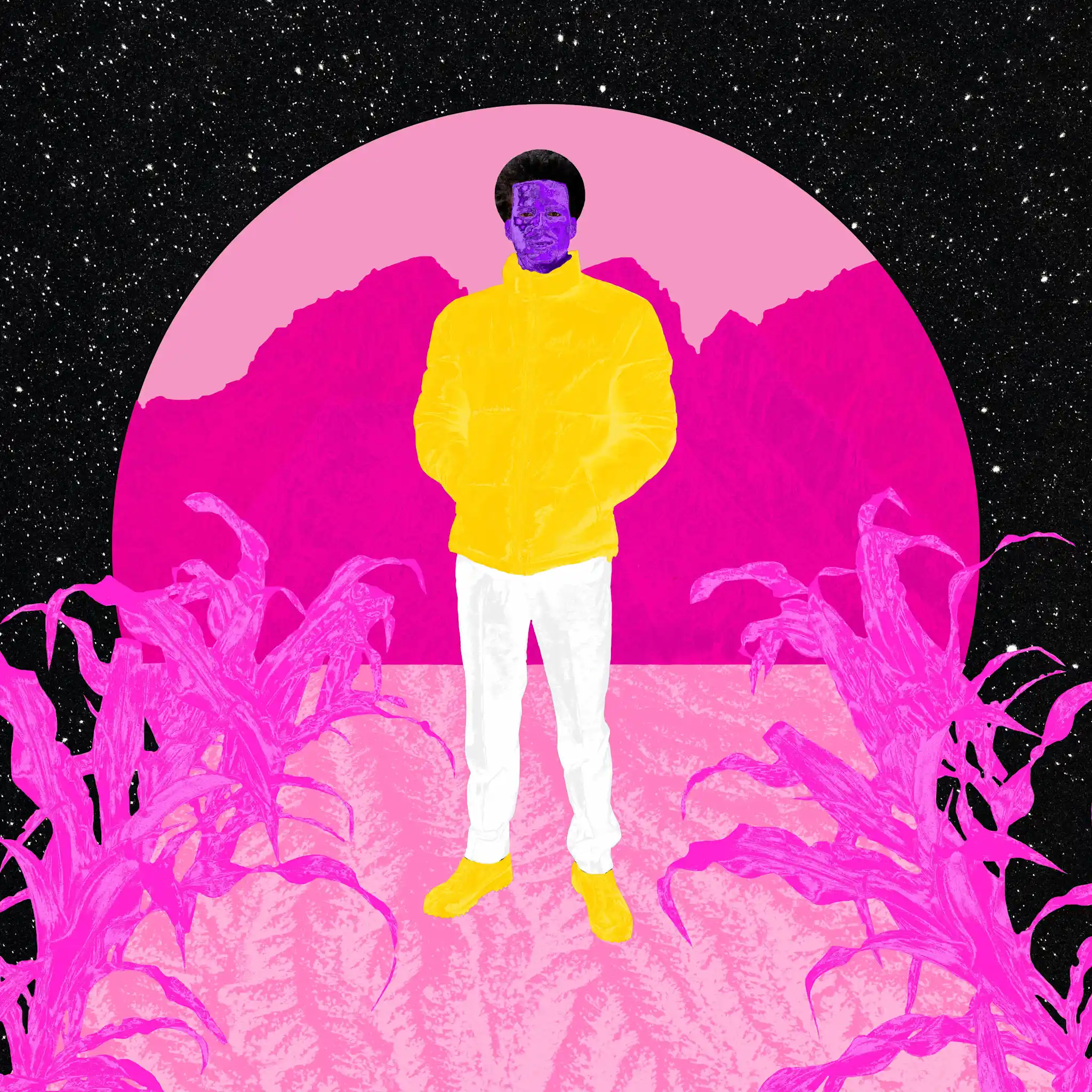 Dreamscape Gallery Image