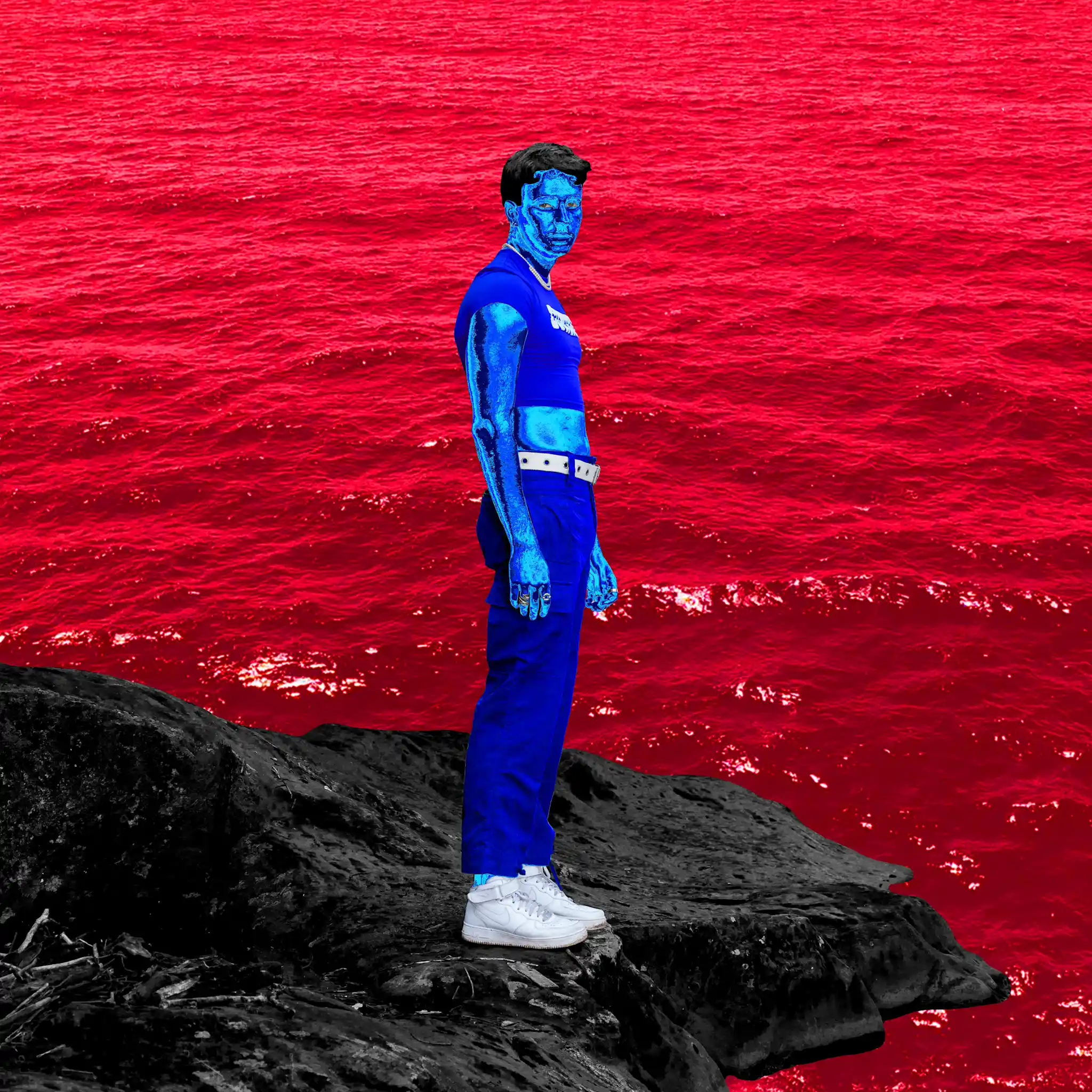 Dreamscape Gallery Image