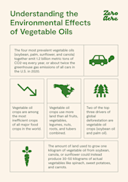 Environmentally Friendly Cooking Oils The Best And Worst Options 