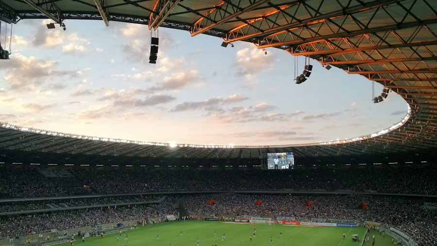 The Economics of the Fifa World Cup