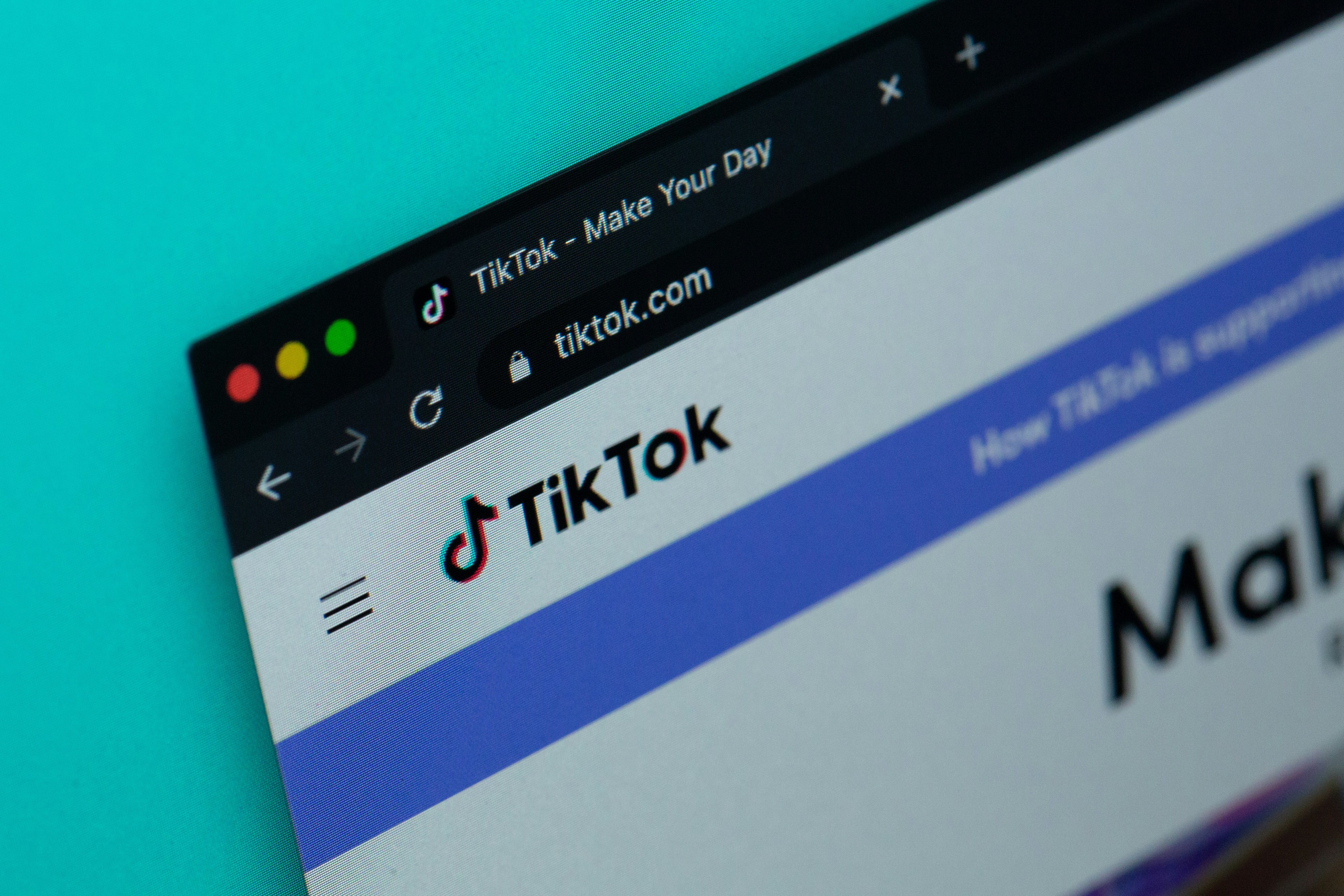 NativPost's TikTok Description Generator