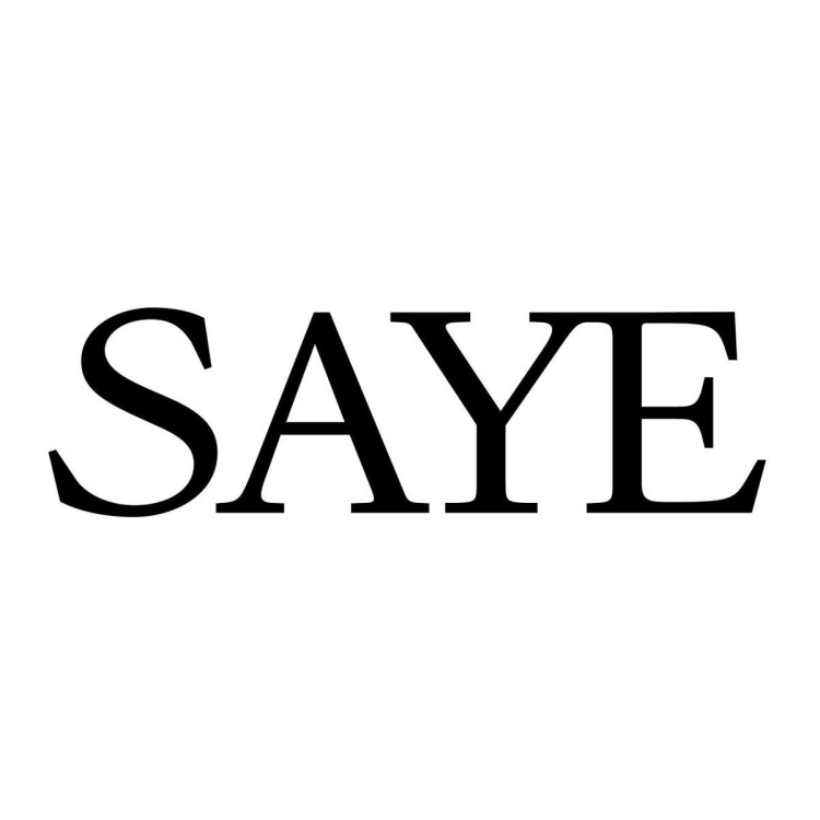 SAYE logo