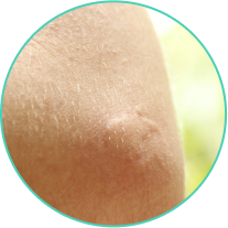 c0f678a6-f4a3-5e54-bb61-90ea75c0273f