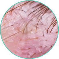 fe195e11-f63a-52c2-807c-4b53e2c589f7