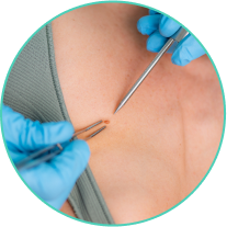 8c3add92-50c5-5b8e-940d-fd6313690684