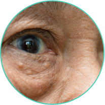 6c9a324d-5de9-52fd-a8bf-a9dbfc7bbef3