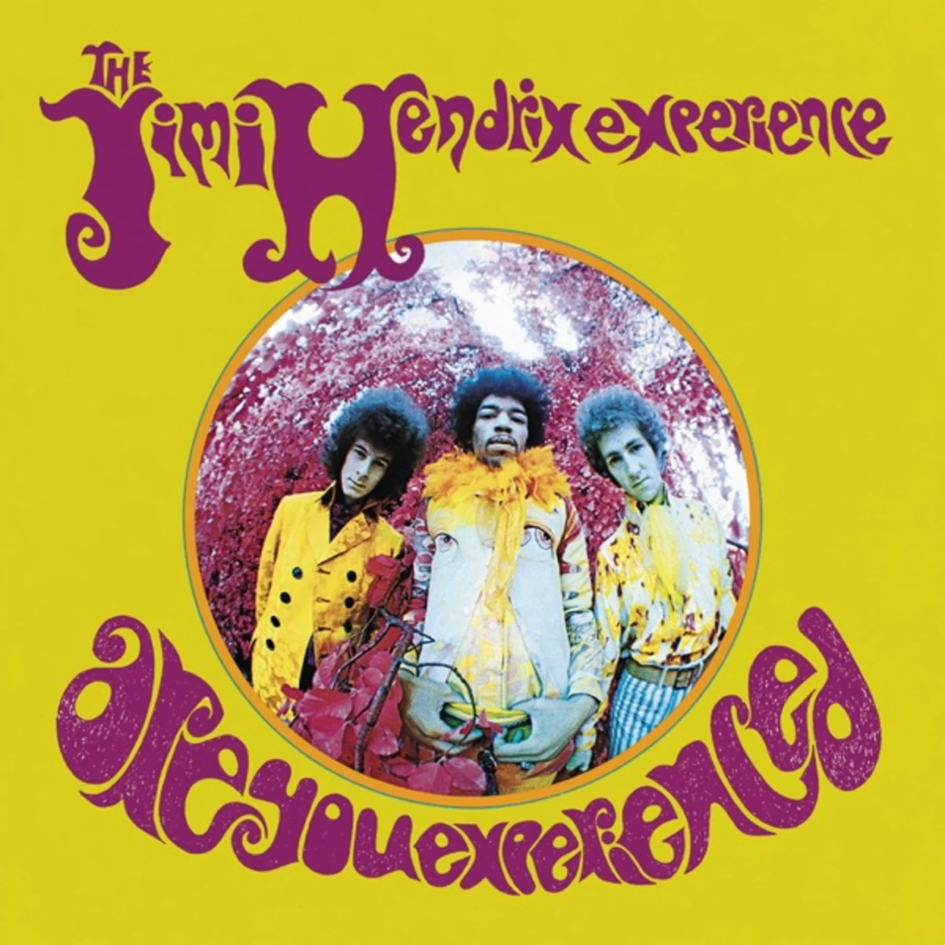 Are You Experienced by The Jimi Hendrix Experience — album cover art