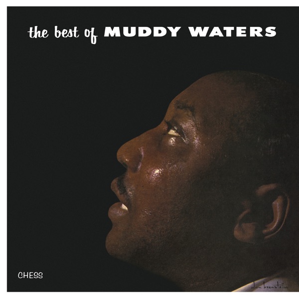 The Best of Muddy Waters by Muddy Waters — album cover art