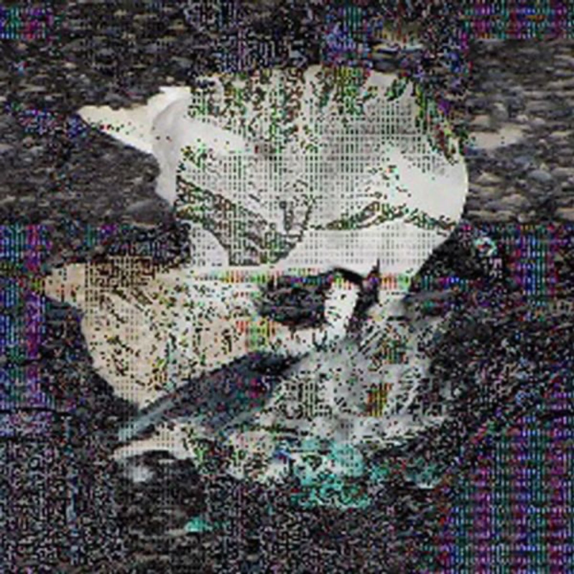 The Money Store by Death Grips — album cover art