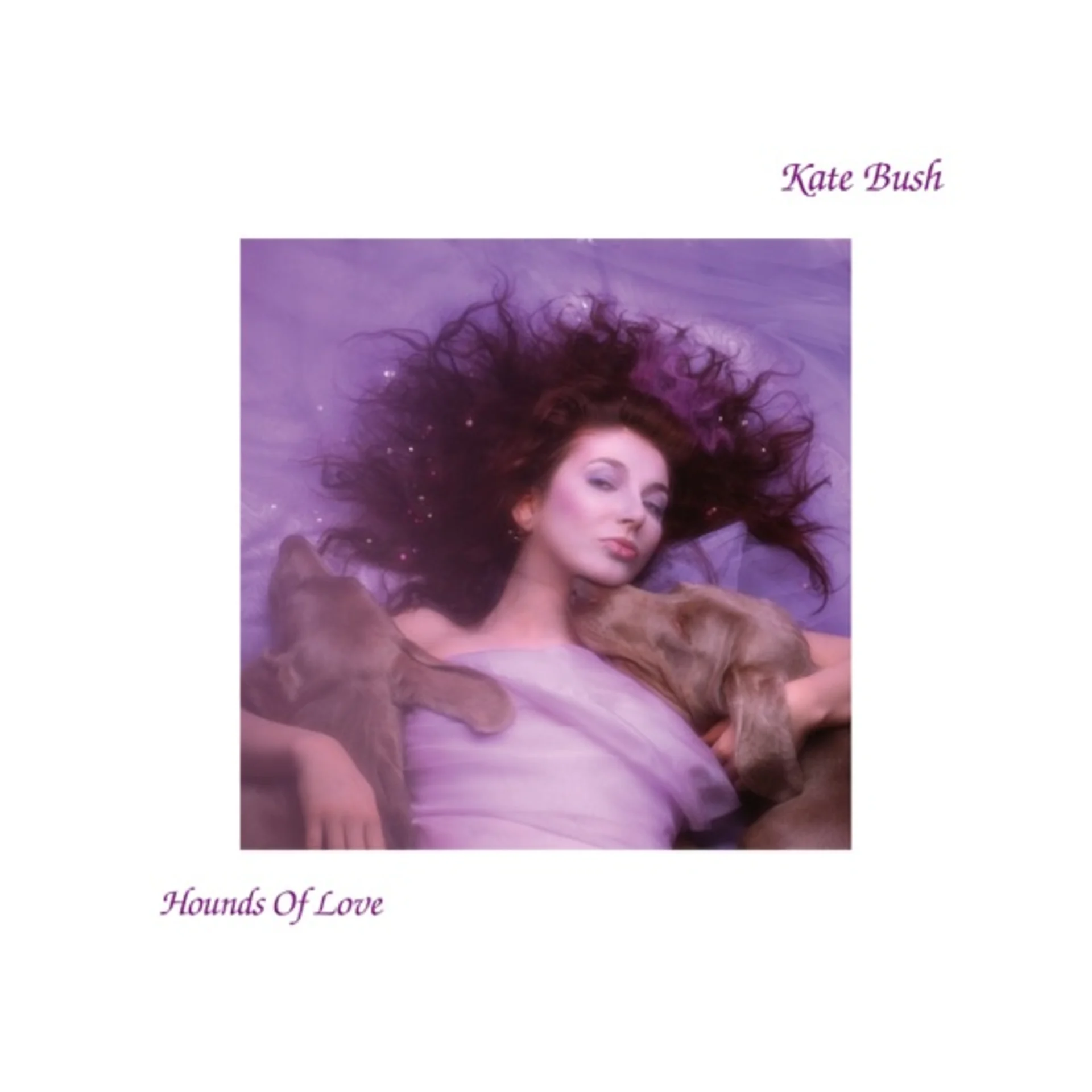 Hounds of Love by Kate Bush — album cover art