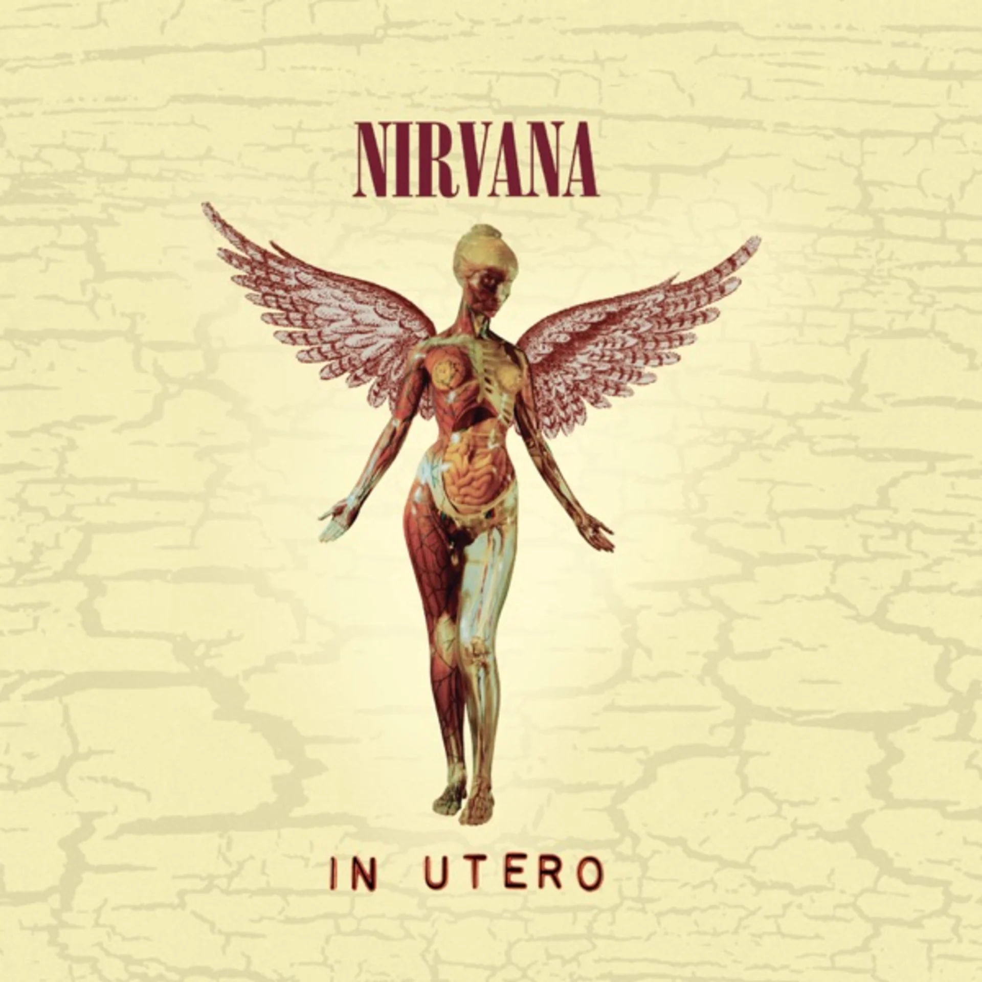 In Utero by Nirvana — album cover art