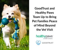 GoodTrust and Healthy Paws Team Up to Bring Pet Families Peace of Mind Beyond the Vet Visit