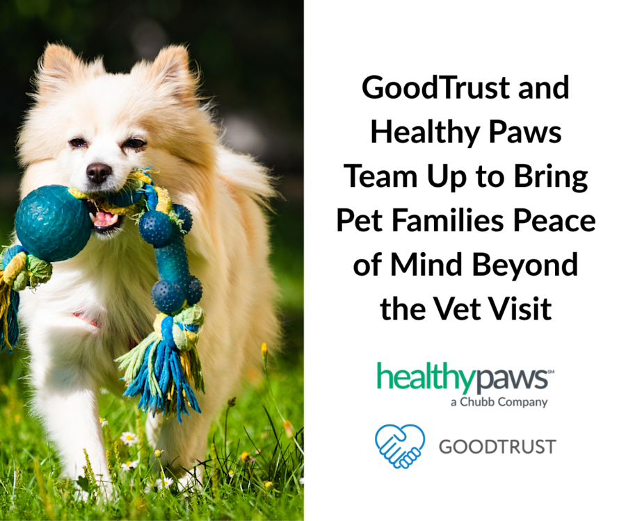 Healthy Paws