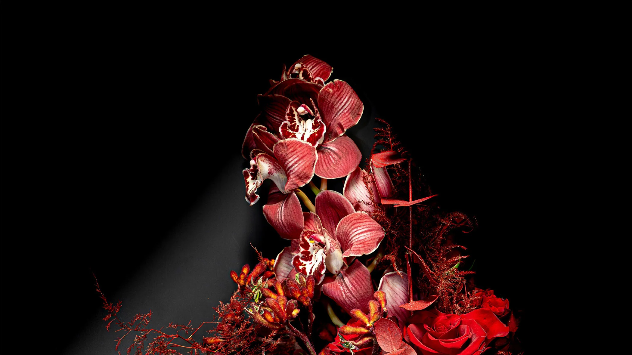 Pantone Launches 200+ Bold New Graphics Colors 6 Exquisite Palette Image
