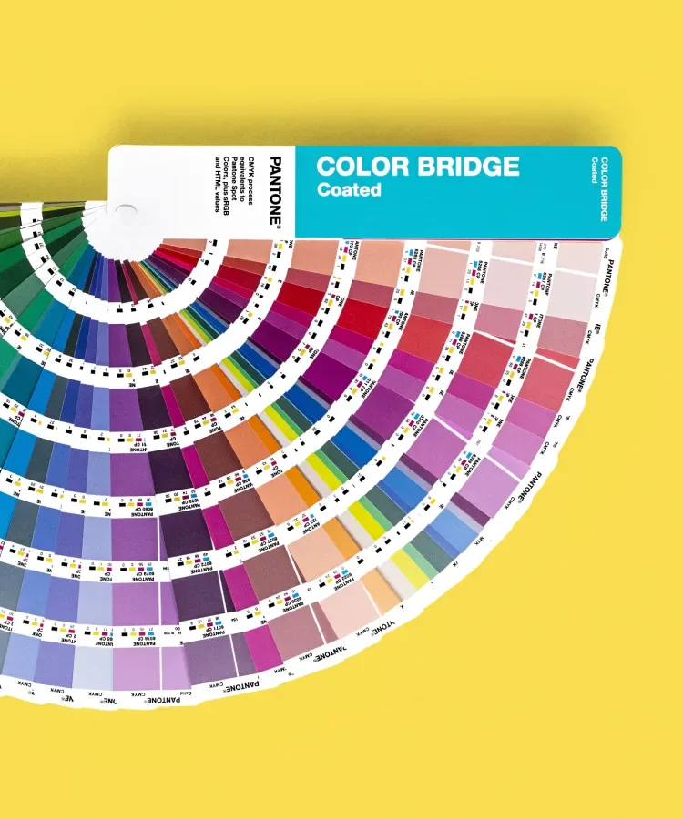 New Colors Dripping With JOY