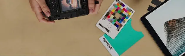 Graphics + Digital Design