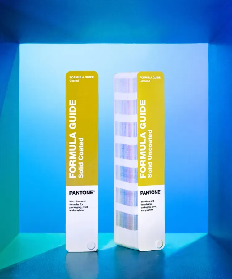 Color-Maxxing Is Back!