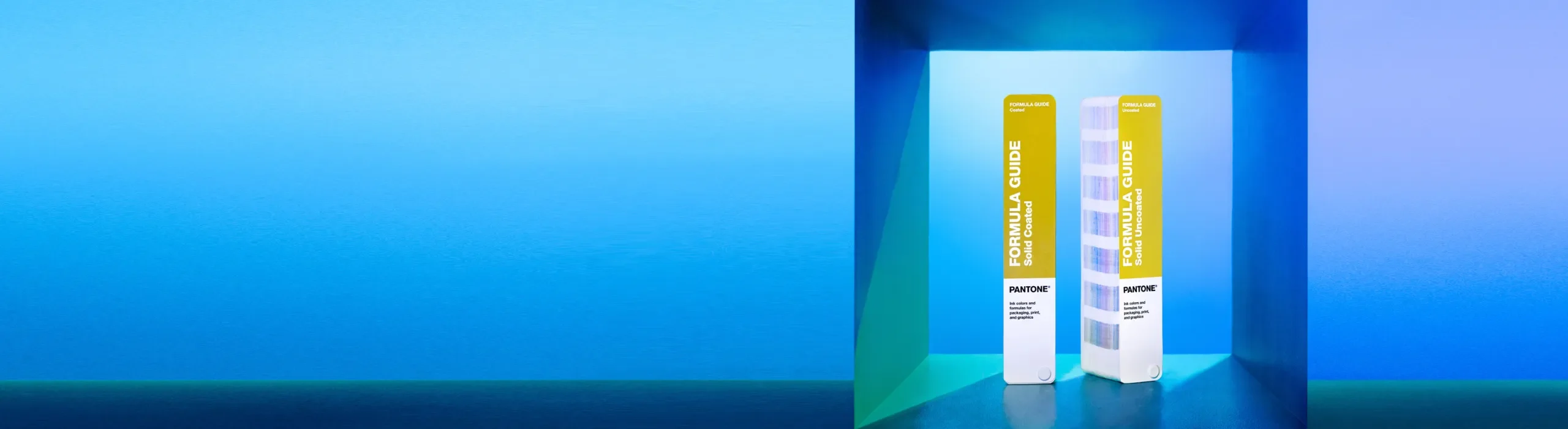 Color-Maxxing Is Back!
