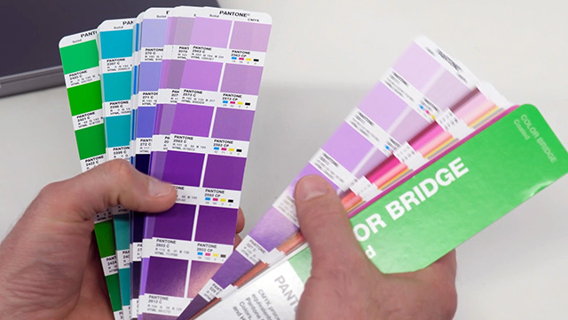 PANTONE® USA | Elevate Your Design Precision with Pantone Color Bridge
