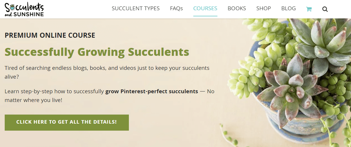 Online course vs. Membership site: Which should you create?