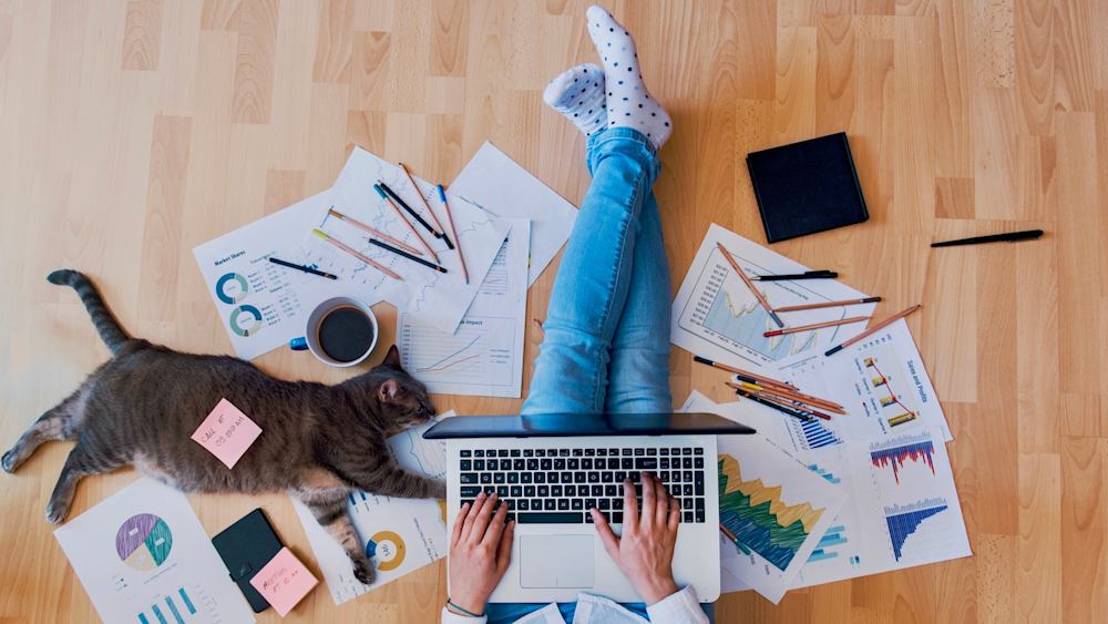 creator-survey-results