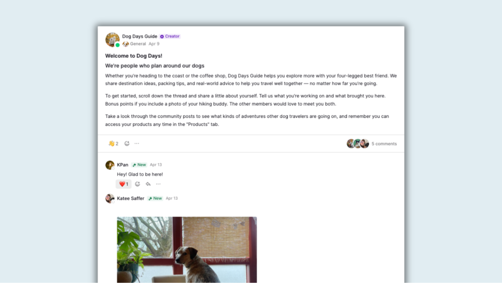 Dog Days introduction space in community