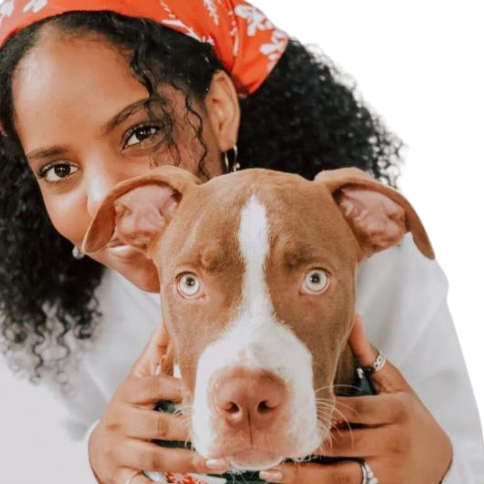 Geeji Williams transparent background