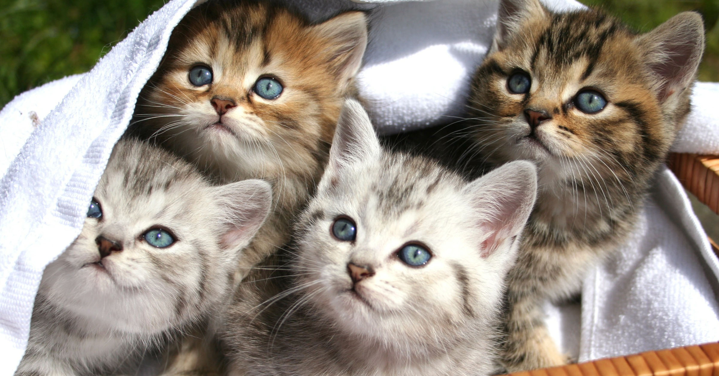 SEO: Give your customers more of what they want with product bundles