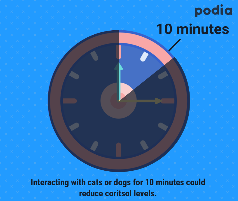 How to succeed in business in 2020