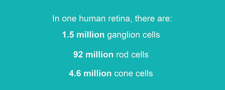 Productivity tips for working from home so you can get stuff done