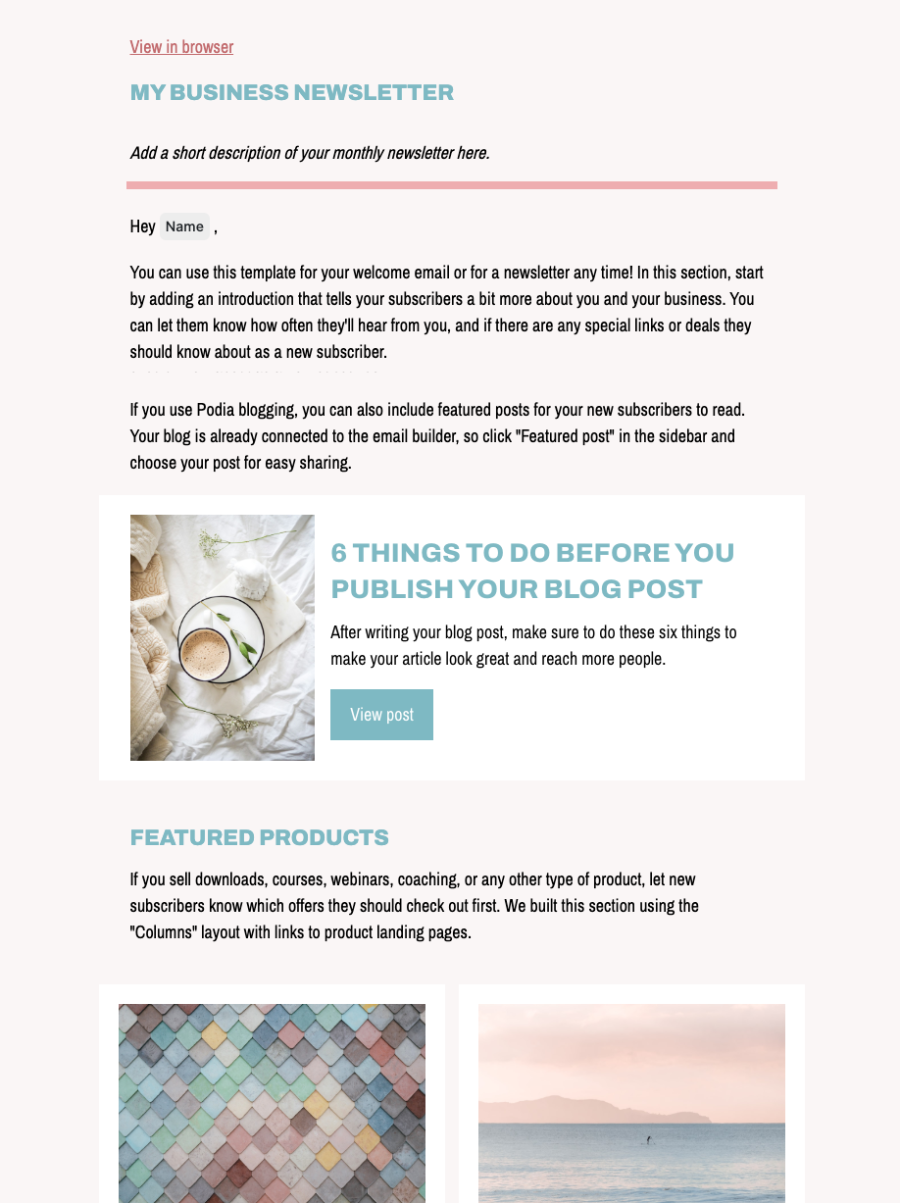 Email newsletter example 5