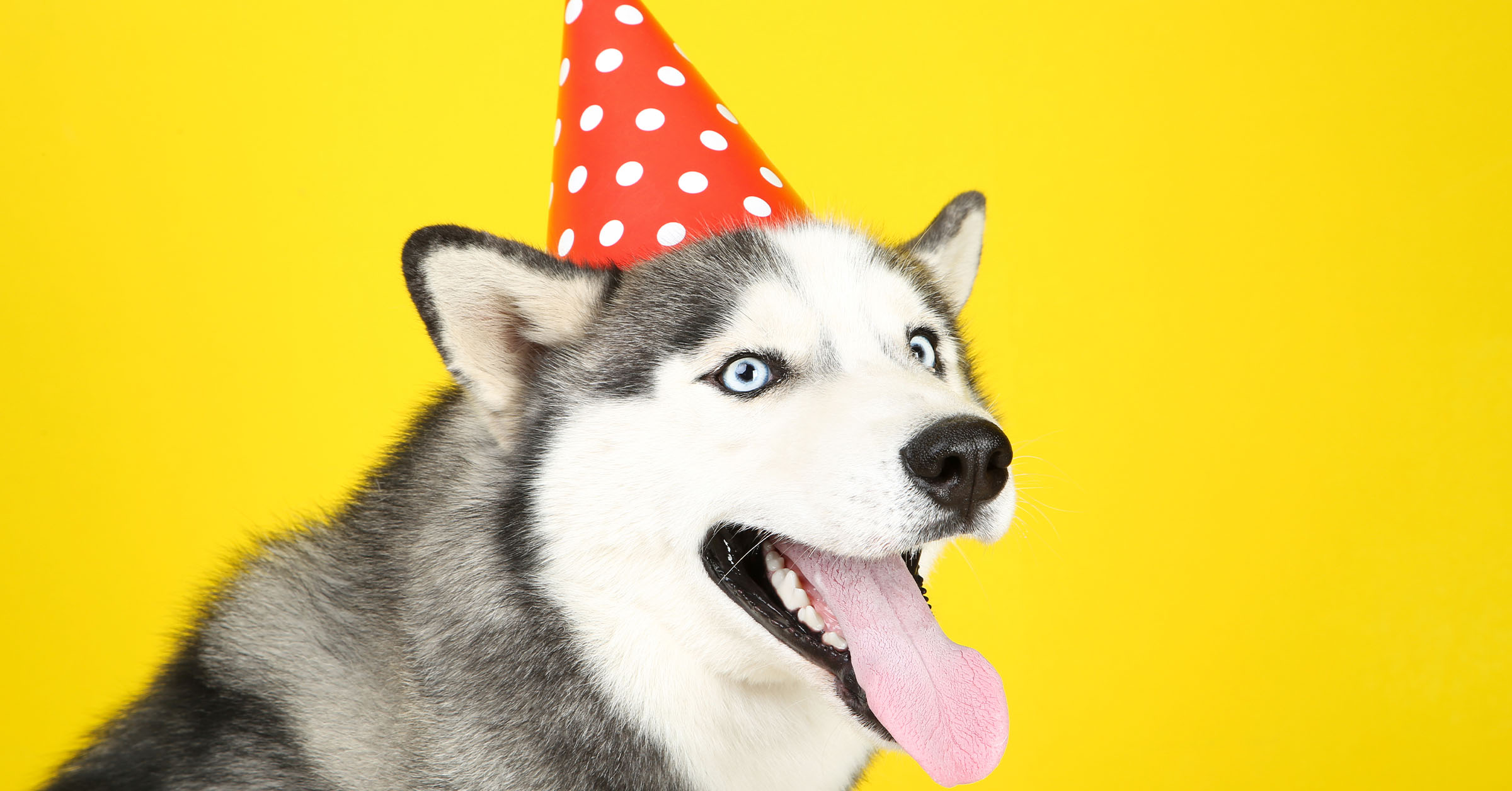 SEO: The 5 best platforms to host and sell digital downloads