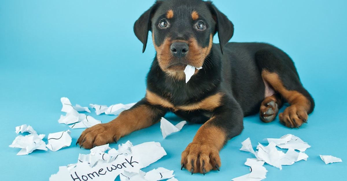 SEO: 5 excuses entrepreneurs make (and how to overcome them)