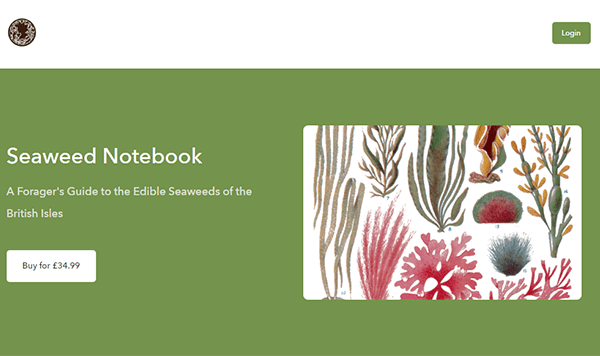 72 real-life digital product examples and ideas to inspire you