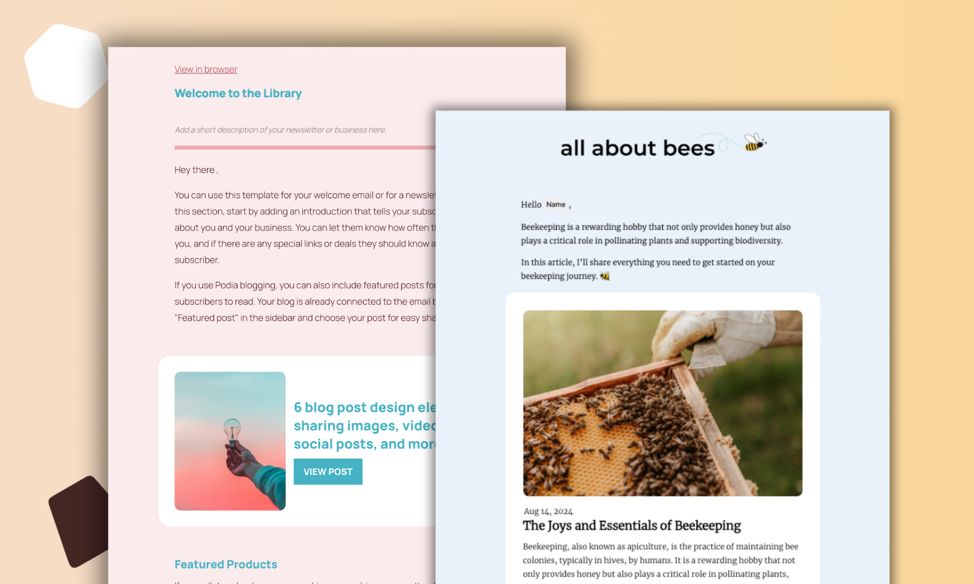 email newsletter platforms
