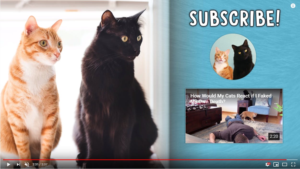 8 expert tips to build an audience on YouTube