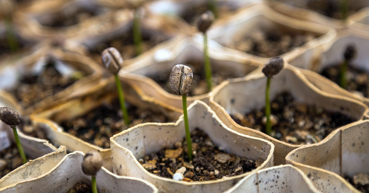 SEO: How to start and grow your first online business