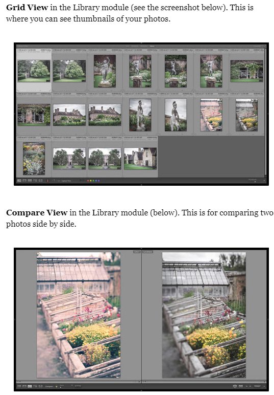 Why you should offer a free email course + tips and tools