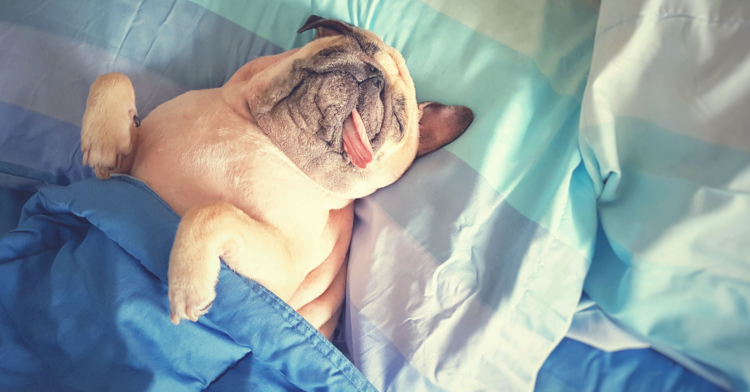 SEO: Write an ebook in 7 days and still have time to sleep