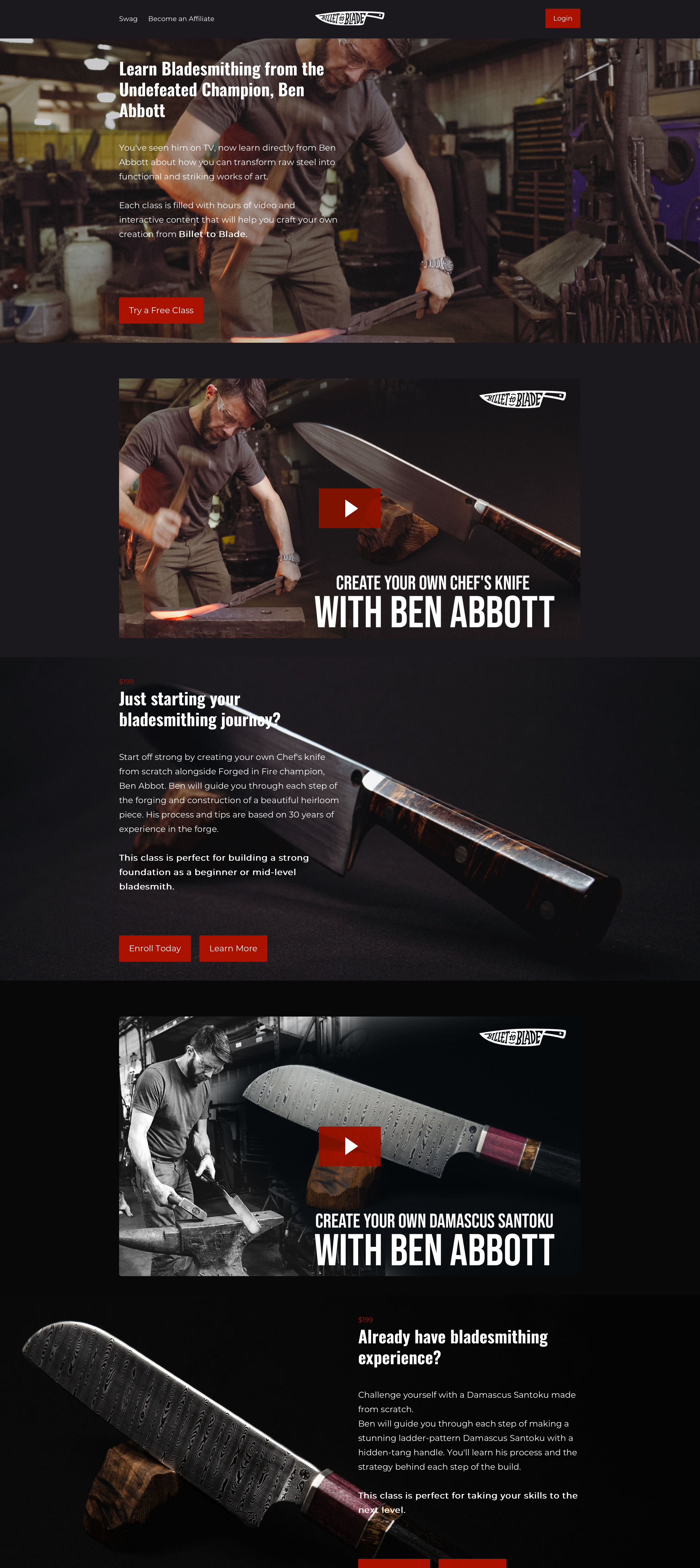 Website screenshot 2