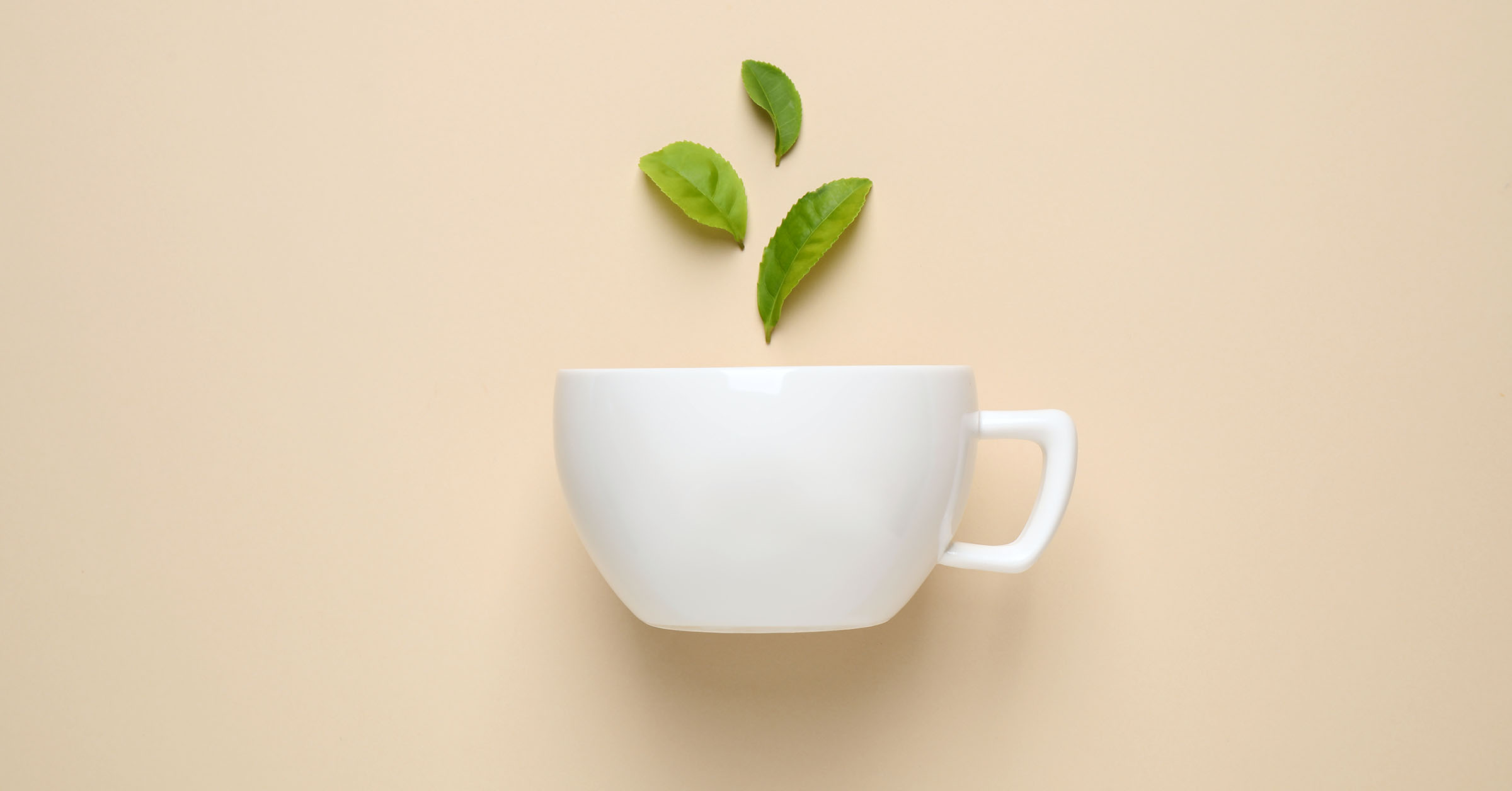 SEO: How Minessa Konecky uses Podia and Interact for her hustle-free business