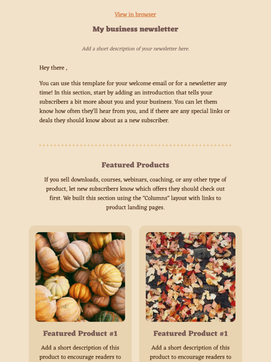 Email newsletter example 4