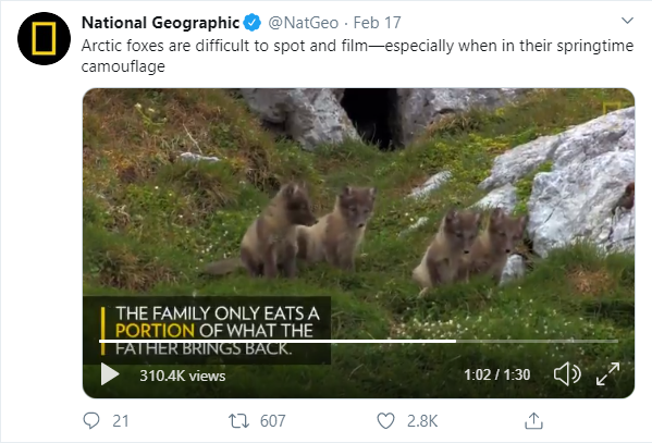 The basics of video marketing for small businesses