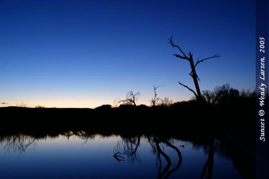 4 ways to prevent digital product piracy and theft