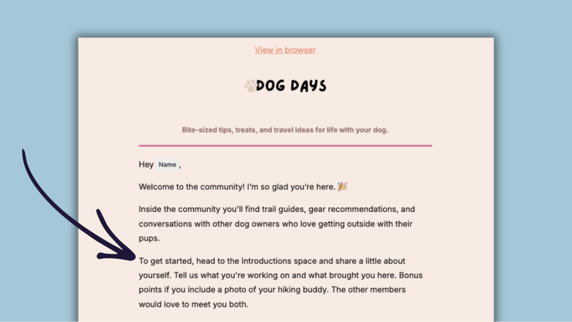 Dog Days welcome email example